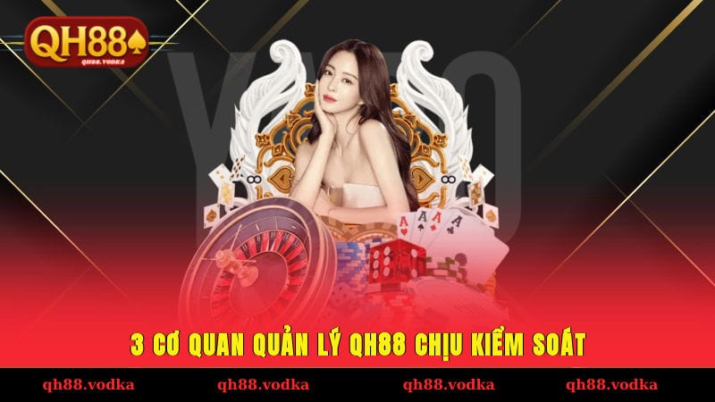 3 cơ quan quản lý QH88 chịu kiểm soát