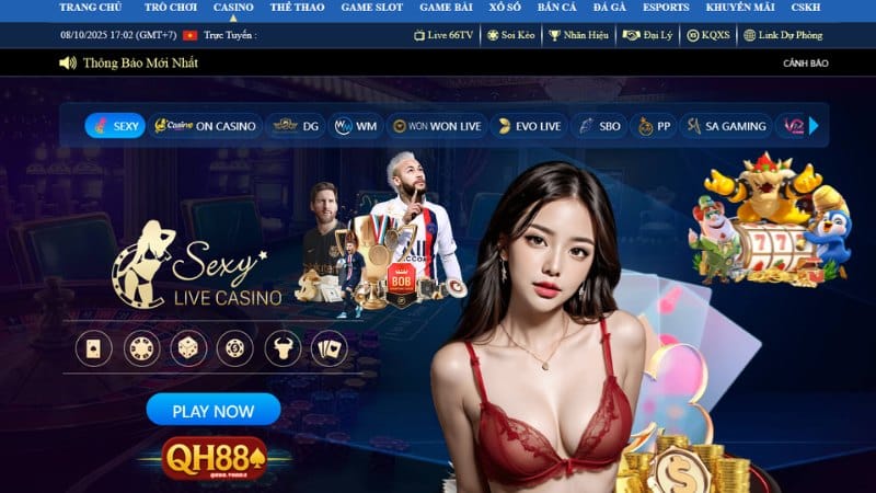 Giao dien tai khoan QH88 than thien