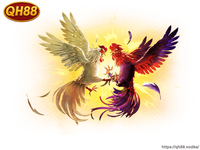 Phat song da ga truc tuyen QH88