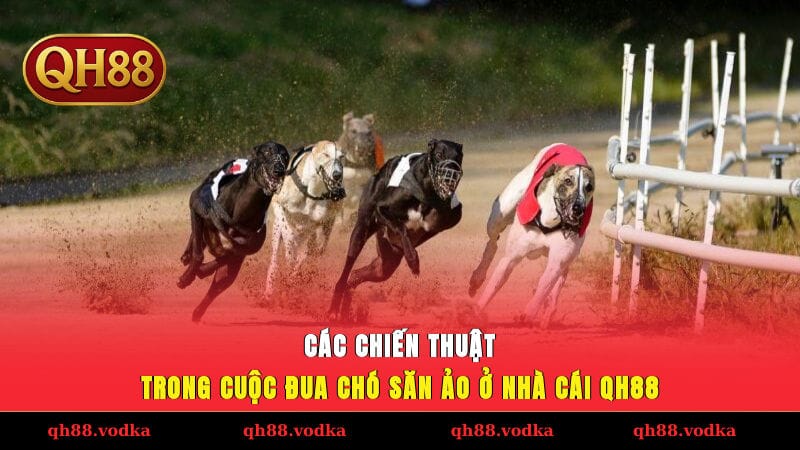 Các chiến thuật trong cuộc đua chó săn ảo ở nhà cái QH88