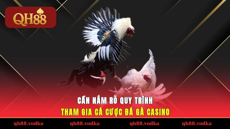 Cần nắm rõ quy trình tham gia cá cược đá gà casino
